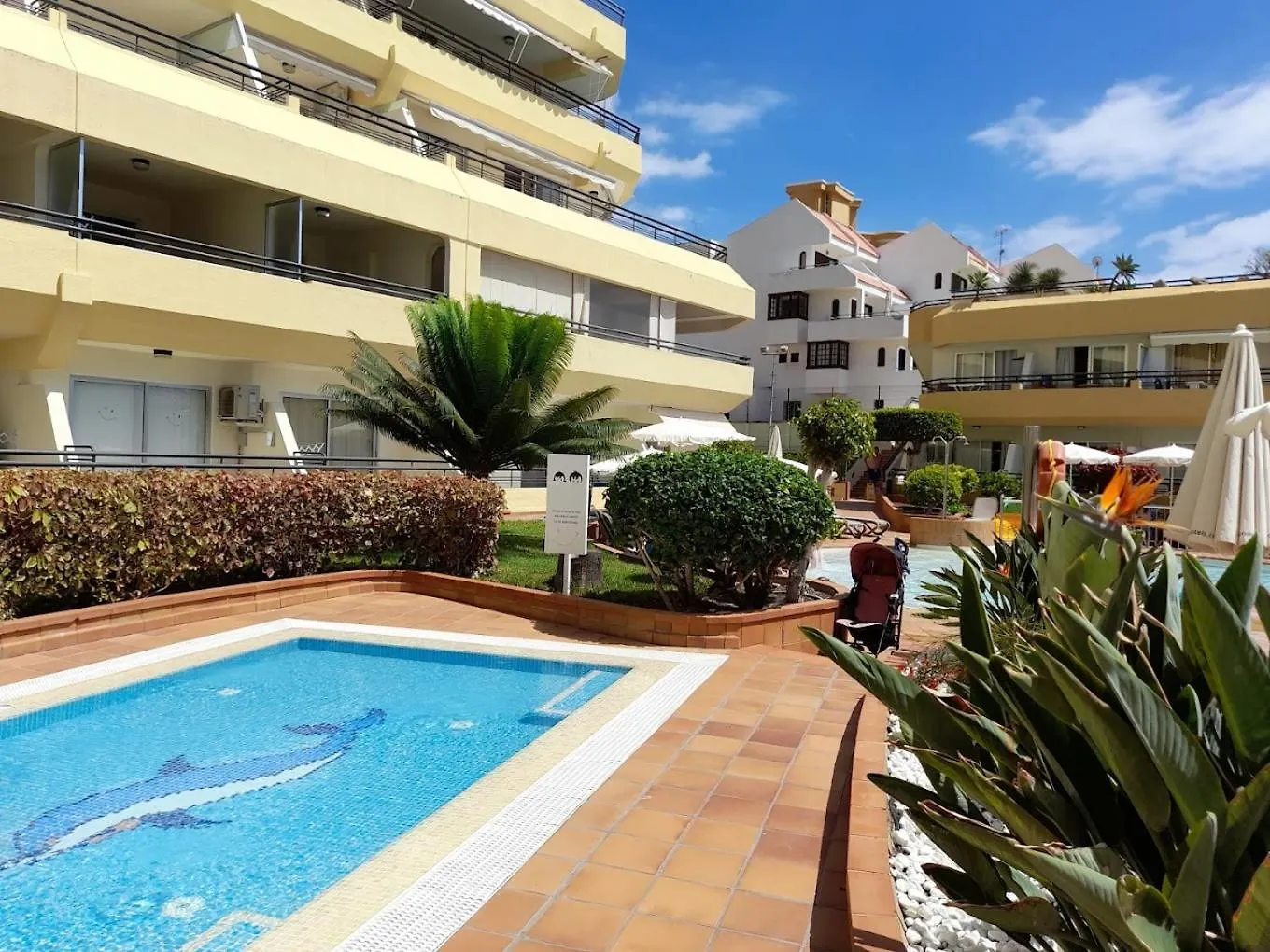 Fanabe Paradise - Artistically Designed Apartment Costa Adeje  Costa Adeje (Tenerife)